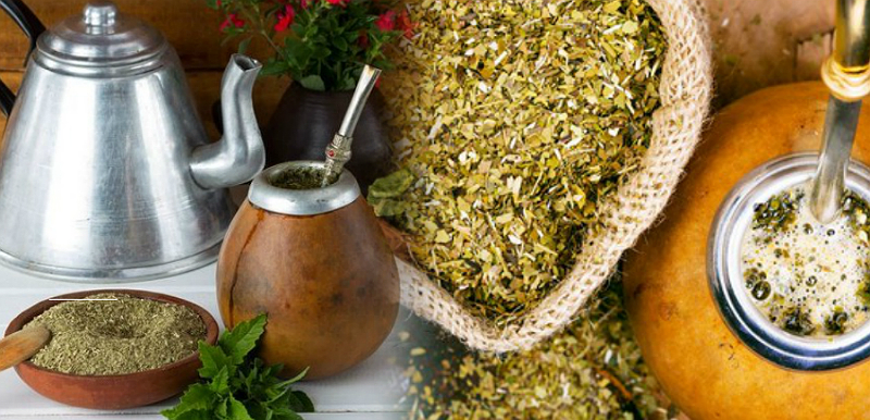 Ιστορία του Μάτε (Yerba Mate)